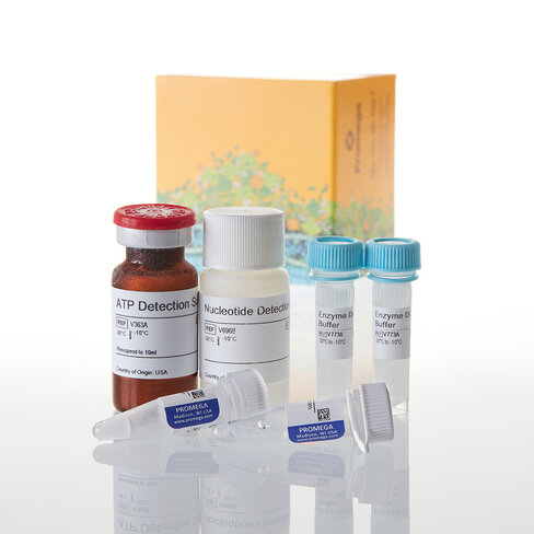 UDP-Glo Glycosyltransferase Assay 200 reactions