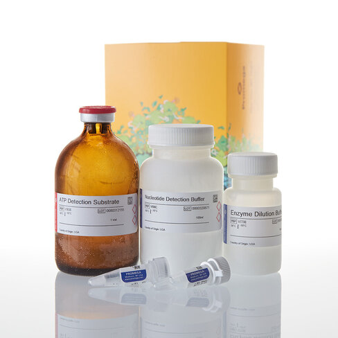 UDP-Glo Glycosyltransferase Assay 4000 réactions