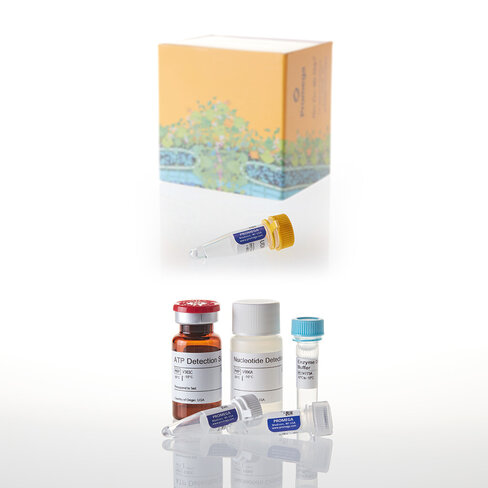UDP -Glo GT Assay 200 UDP-Gal 50ul 200 reactions