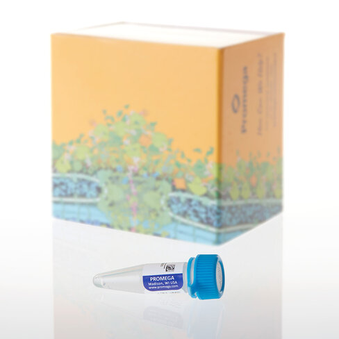 UDP-GlcNAc, 100 mM, 50 µL