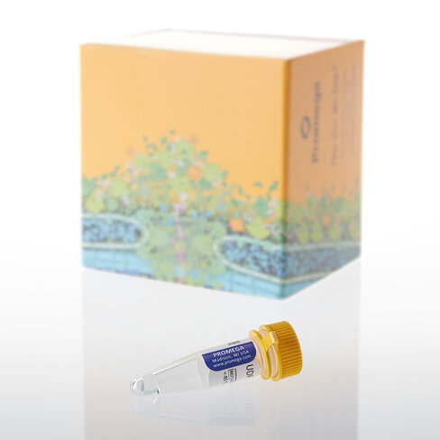 UDP-Glc,100mM 50 µl