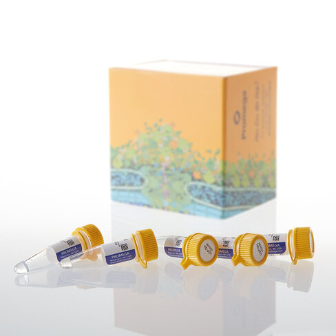 UDP-Glc, 100 mM, 250 ?L