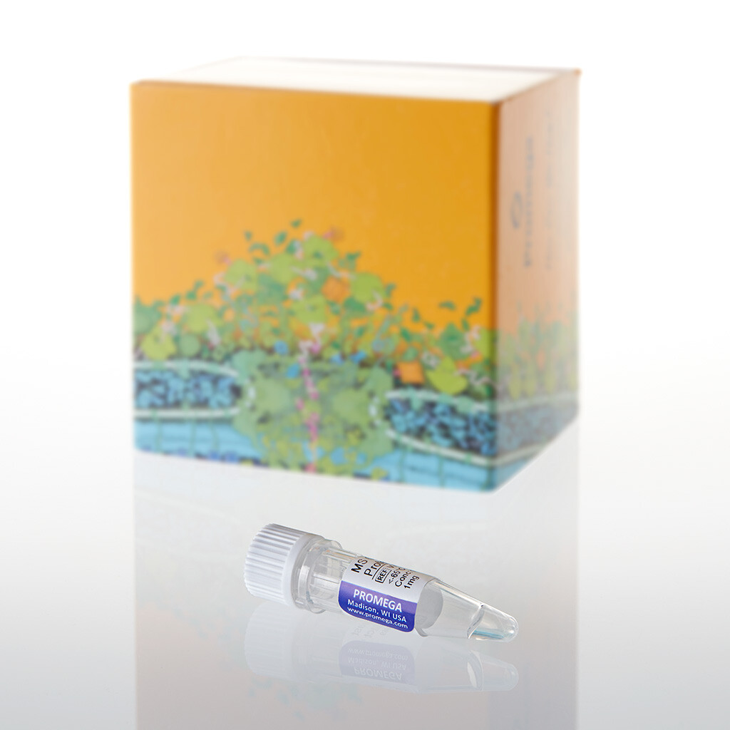 MS Compatible Yeast Protein Extract Int 1mg 1 mg