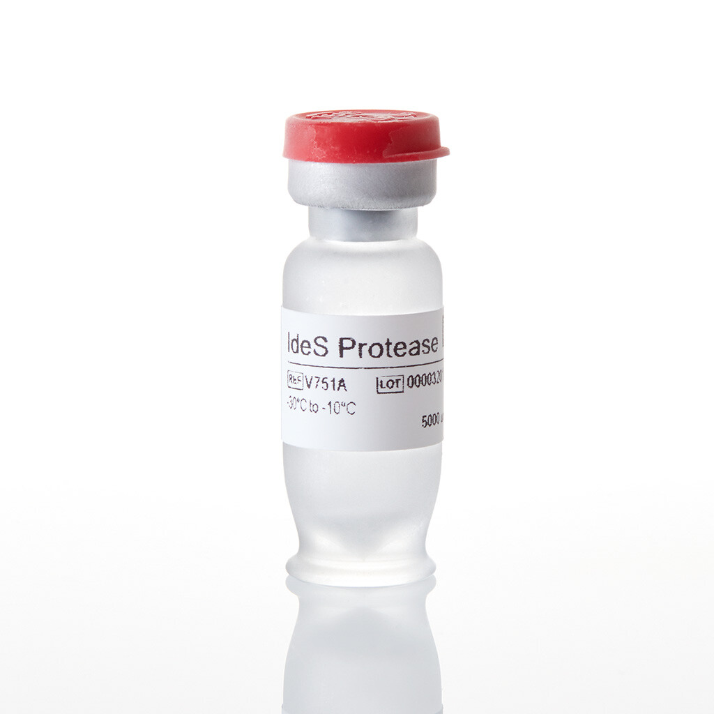 IdeS Protease 5000U 5000u 5000 unités