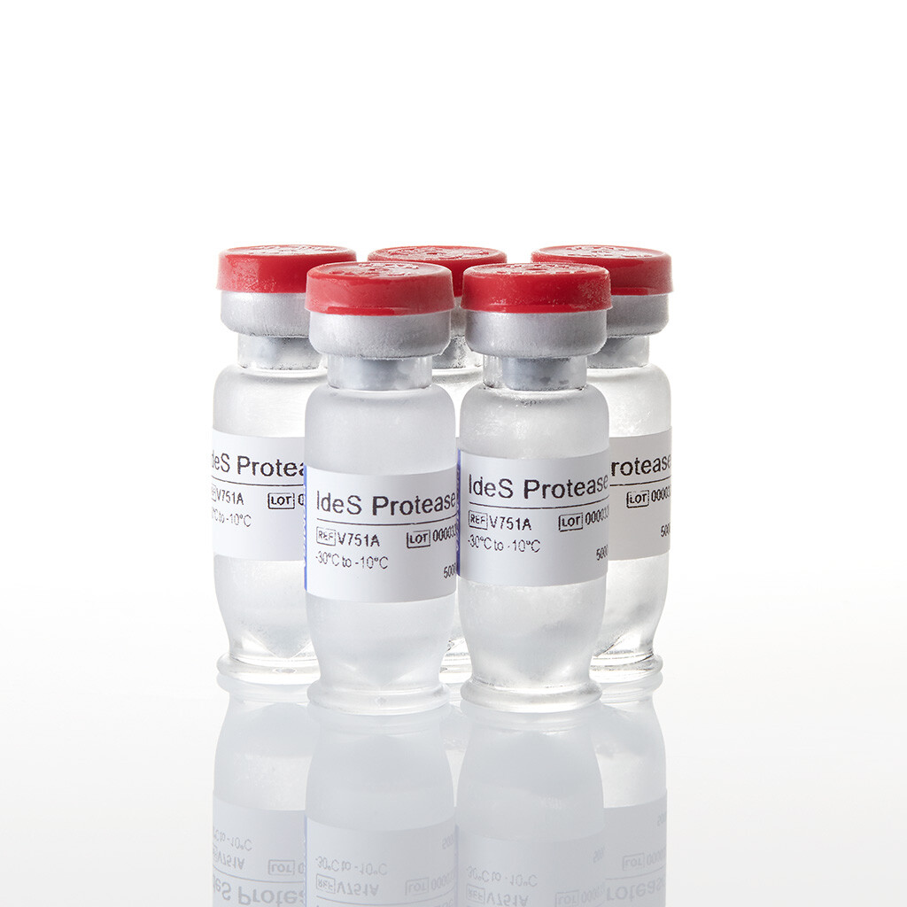 IdeS Protease, 25000 ?