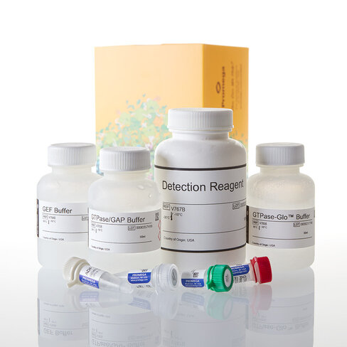 GTPase-Glo Assay 10000 réactions