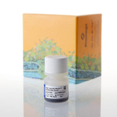 High Capacity Magne Streptavidin Beads 3 ml