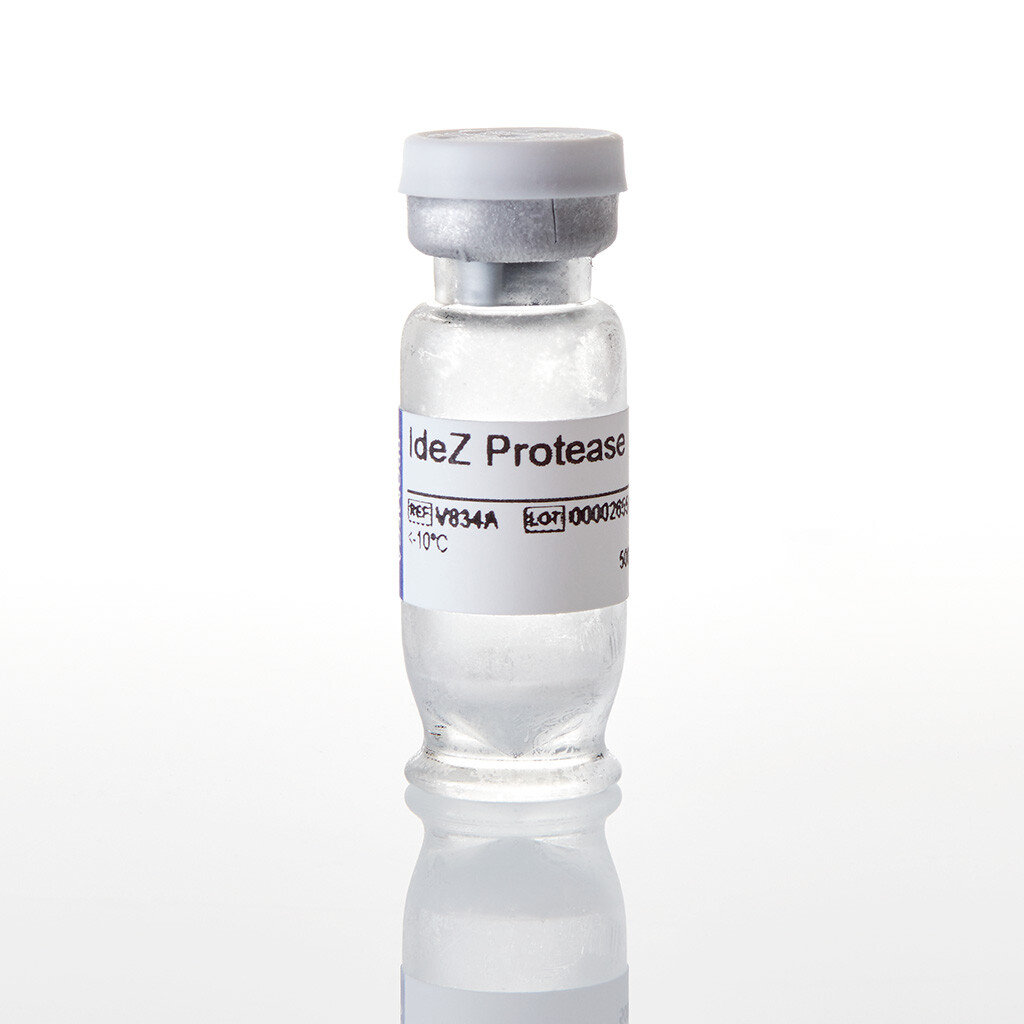 IdeZ Protease 5000U 5000u 5000 unités