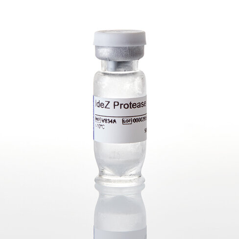 IdeZ Protease 5000U 5000u 5000 unités