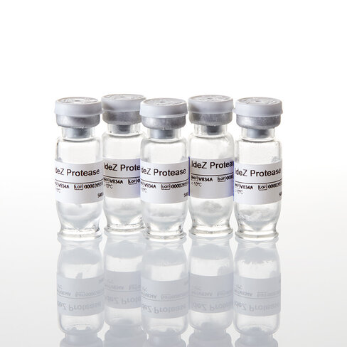 IdeZ Protease (5 x 5000u) 25000 unités