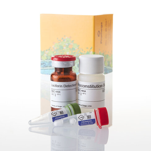 P450-Glo CYP1A2 Induction/ Inhibition 10 ml