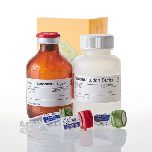 P450-Glo CYP1A2 Induction/ Inhibition 50 ml