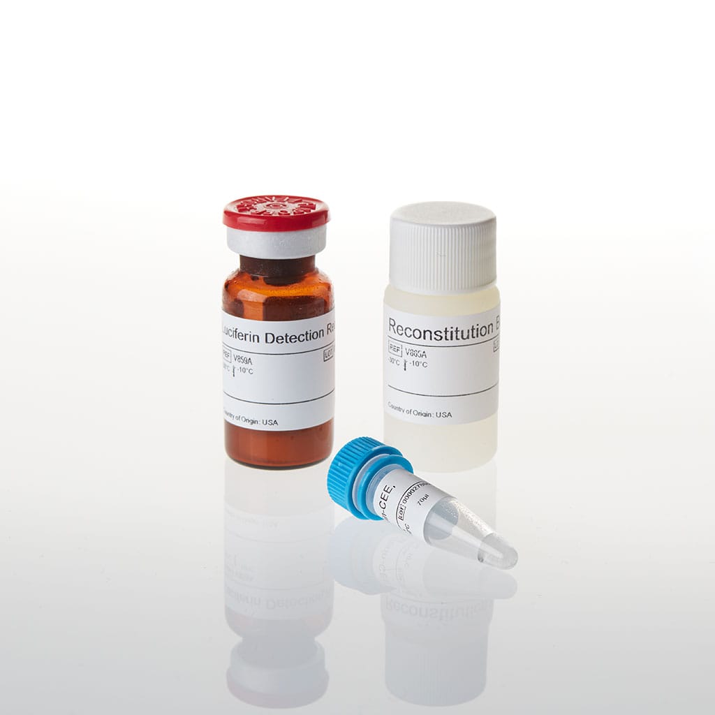 P450-Glo CYP1A1 Assay 10 mL