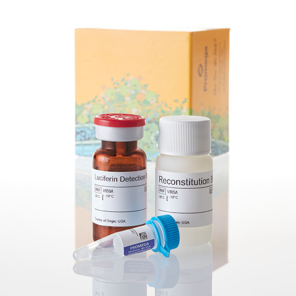 P450-Glo CYP1A1 Assay 10 mL