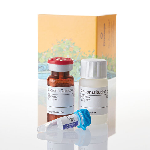 P450-Glo CYP1A1 Assay 10 mL