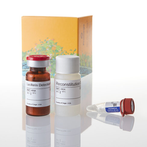 P450-Glo CYP1A1 Assay 10 mL