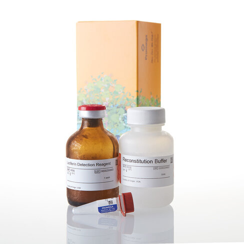 P450-Glo CYP1A2 Assay 50 ml