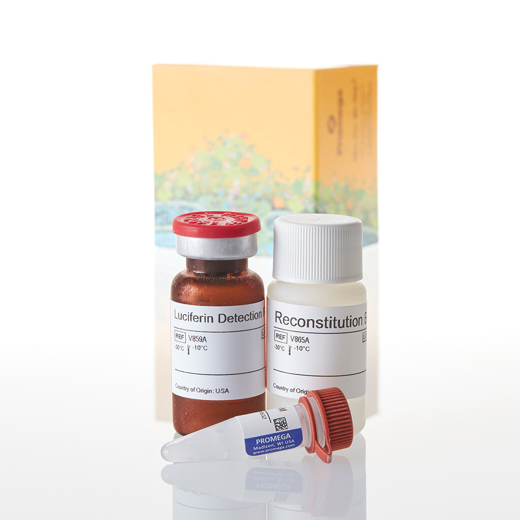 P450-Glo CYP1A1 Assay 10 mL