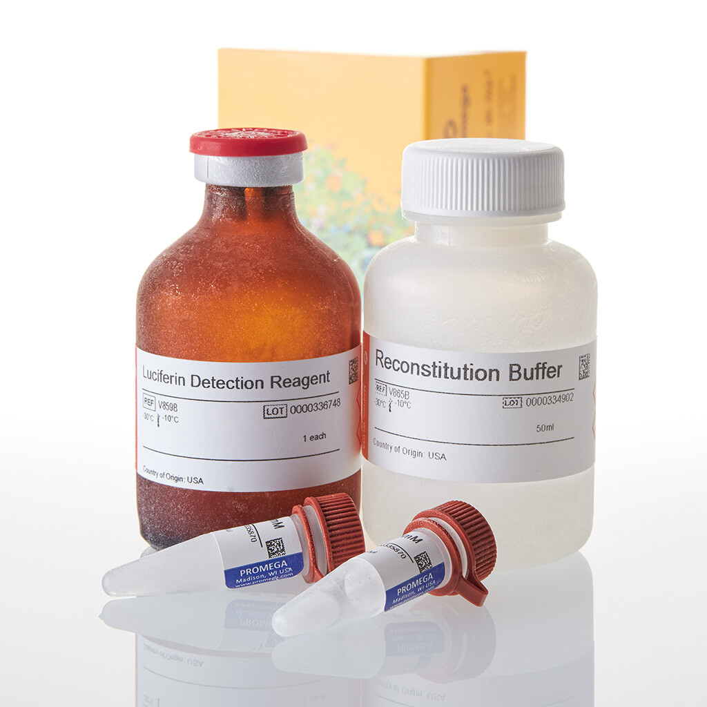 P450-Glo CYP2C8 Assay 50 ml