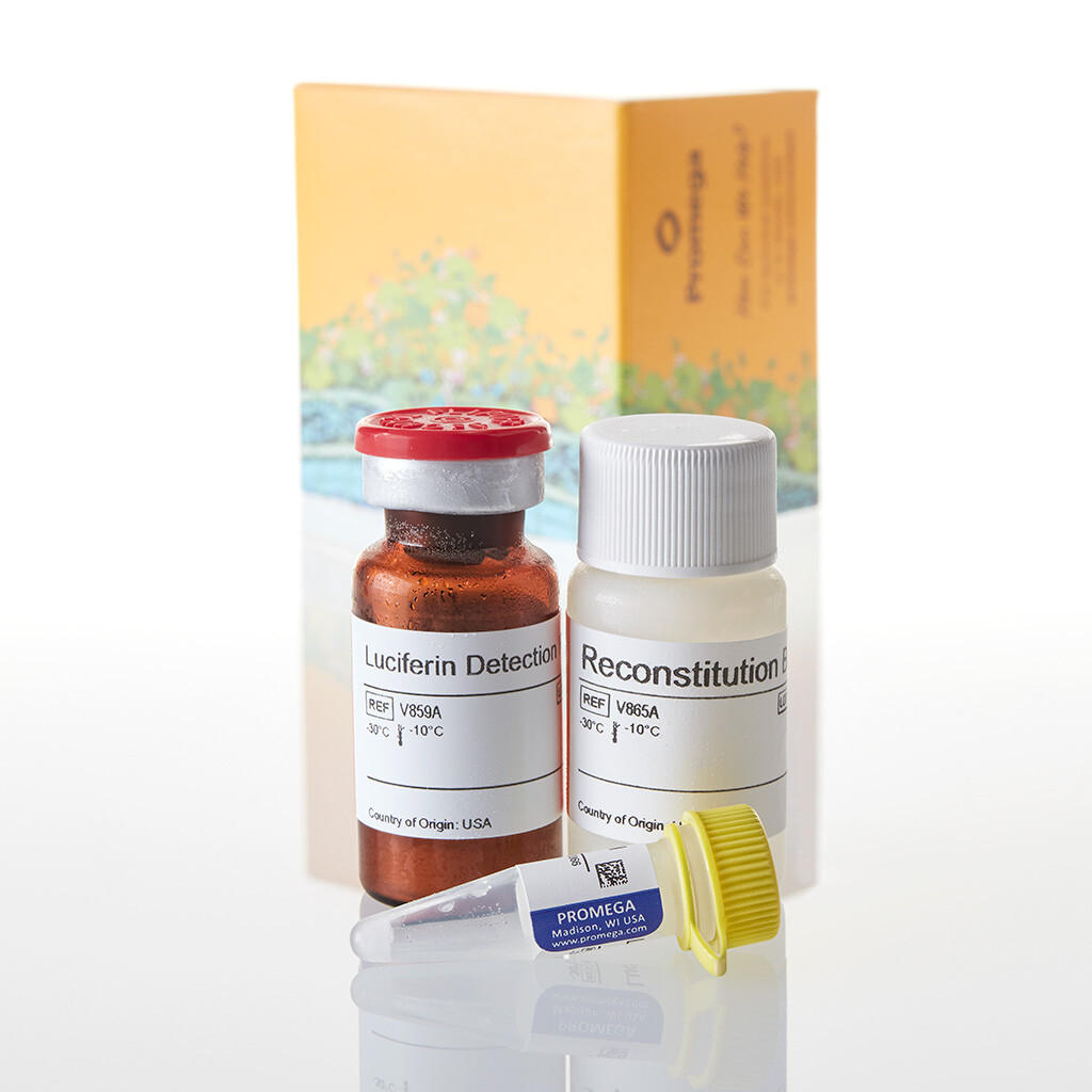 P450-Glo CYP1A1 Assay 10 mL