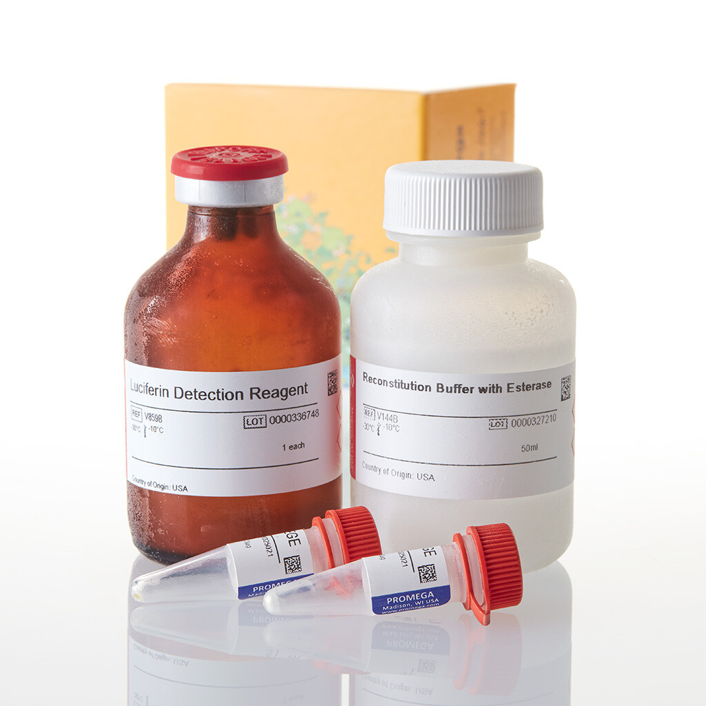 P450-Glo CYP2C19 Assay 50 ml