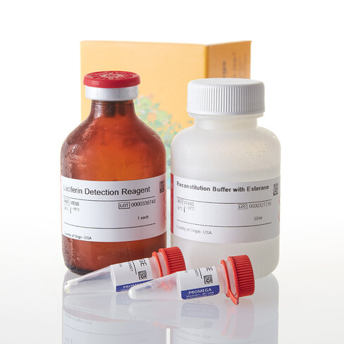 P450-Glo CYP2C19 Assay 50 ml