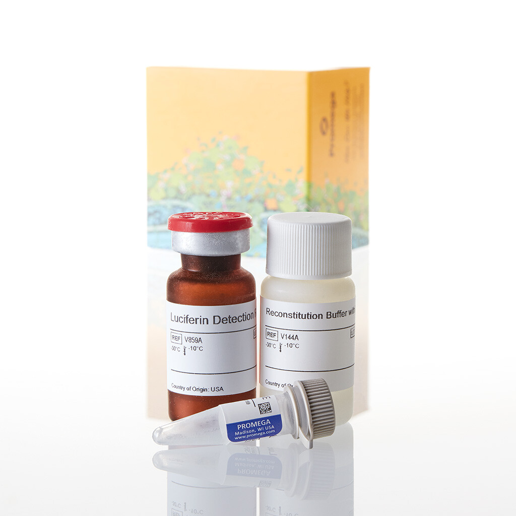 P450-Glo CYP2D6 Assay 10 mL