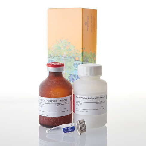 P450-Glo CYP2D6 Assay 50 ml