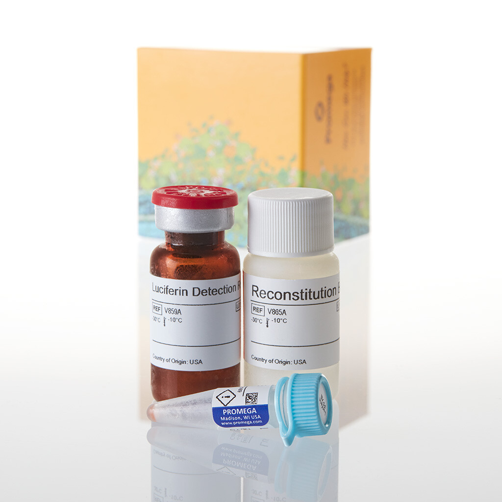 P450-Glo CYP3A4 Assay with Luciferin PPXE 10 ml