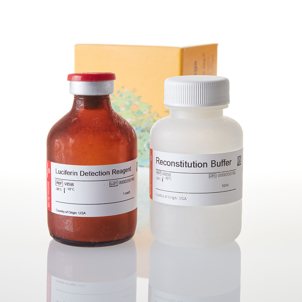 Luciferin Detection Reagent 50 ml
