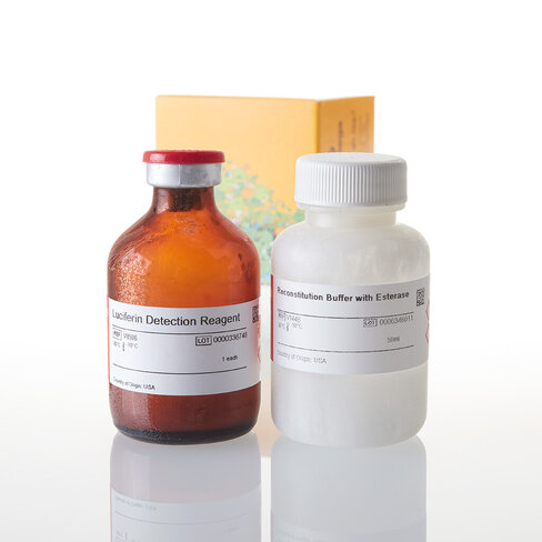 Luciferin Detection Reagent, with esterase 50 ml