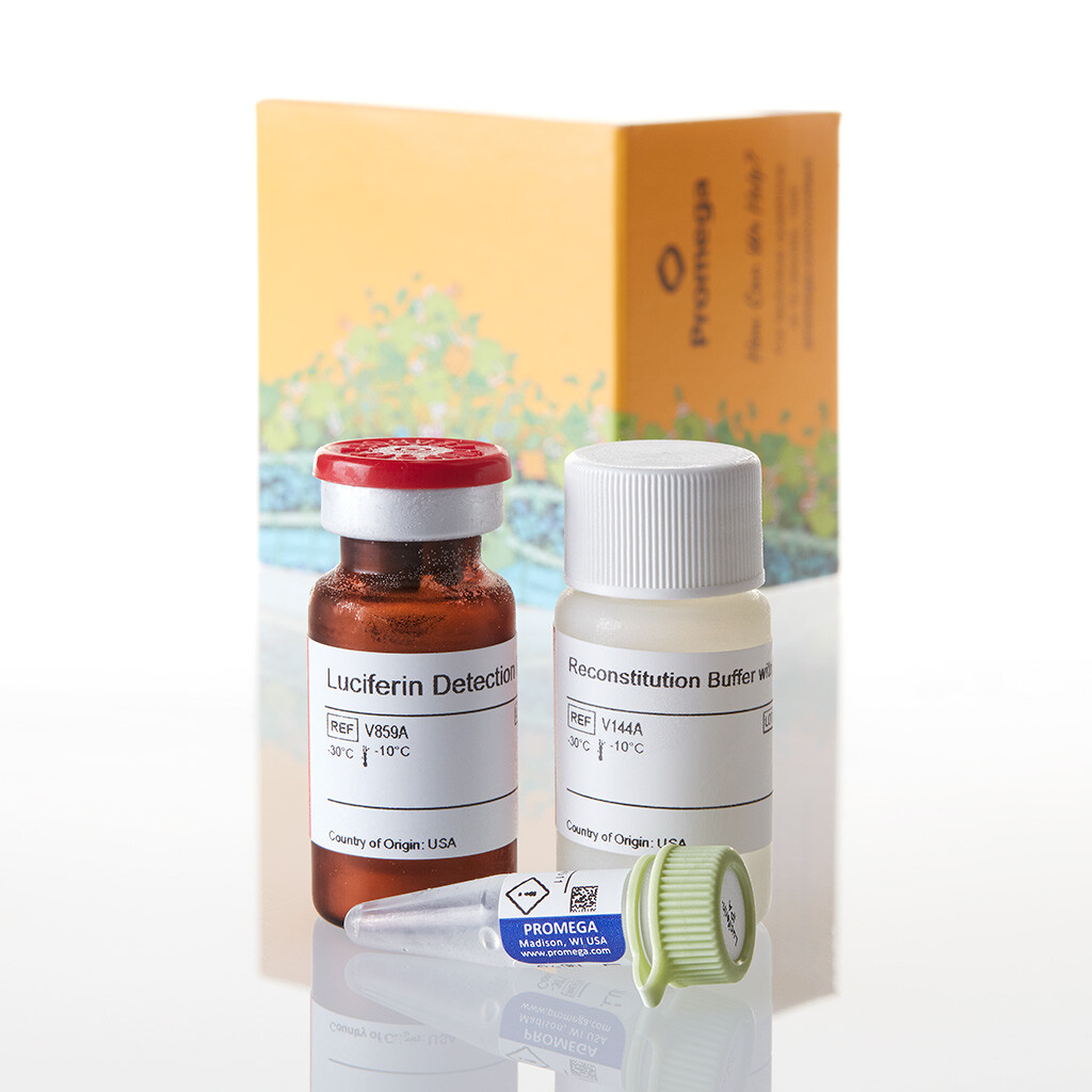 P450-Glo CYP3A4 Assay with Luciferin 10 ml