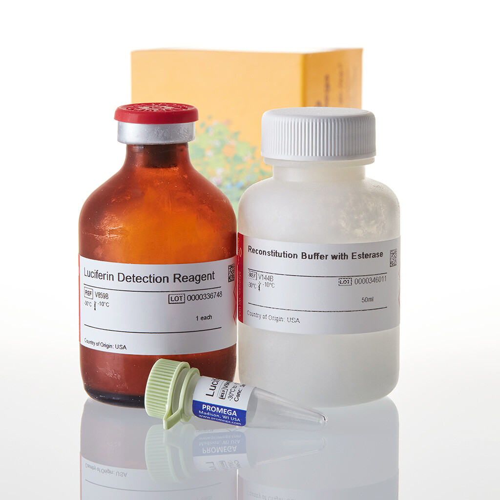 P450-Glo CYP3A4 Assay with Luciferin 50 ml