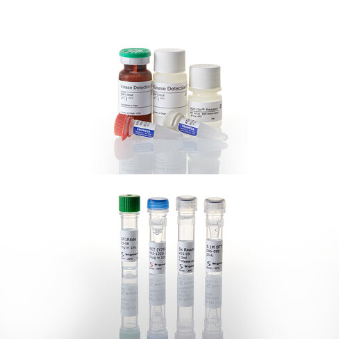 ADP-Glo Kinase Assay + ABL1 Kinase Enzyme System 1 each