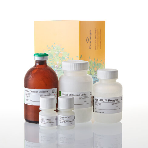 ADP-Glo Kinase Assay 10,000 Assays 10000tests 10000 tests