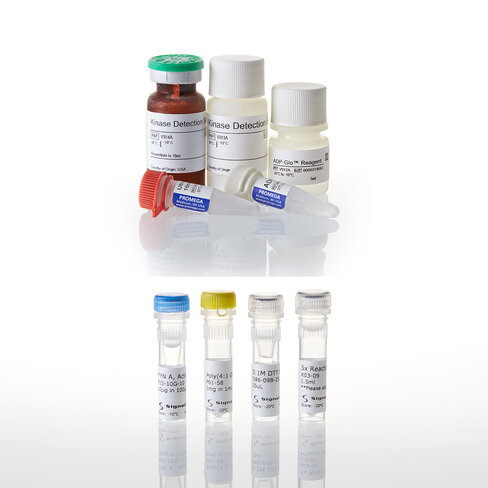 ADP-Glo Kinase Assay + FYN A Kinase Enzyme System 1 each