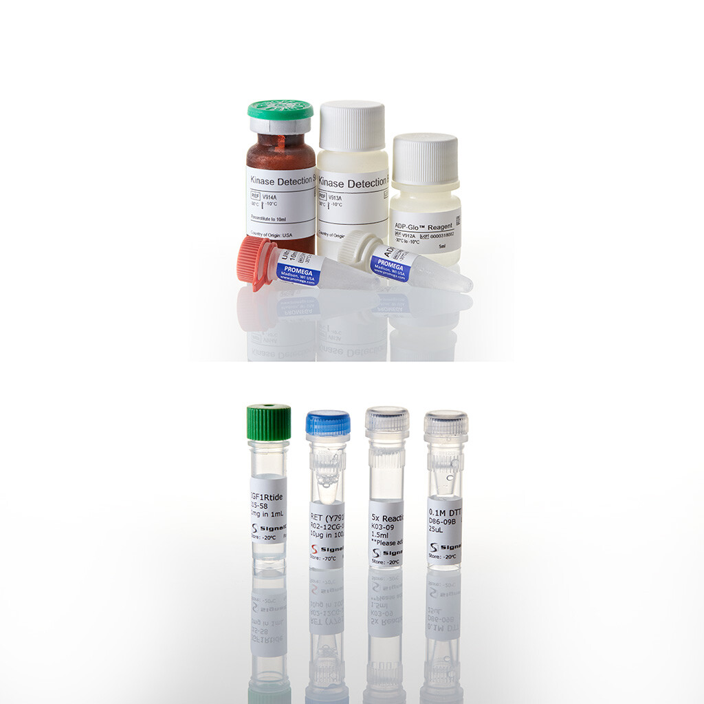 ADP-Glo Kinase Assay + ROCK1 Kinase Enzyme System 1 each