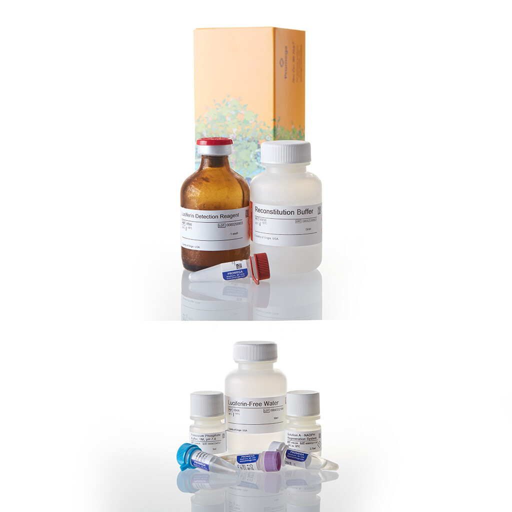 P450-Glo CYP1A2 Screening System 1000 tests