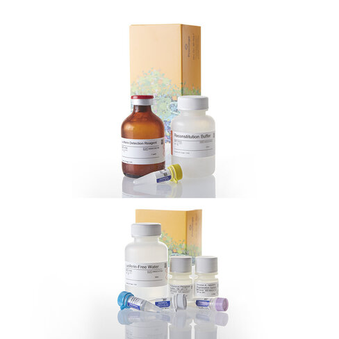 P450-Glo CYP2C9 Screening System 1000 tests