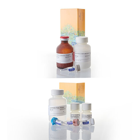 P450-Glo CYP2D6 Screening System 1000 tests