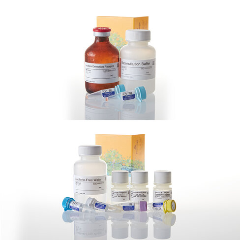 P450-Glo CYP3A4 Screening System with Luciferin-PPXE 1000 tests