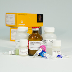 P450-Glo CYP3A4 Screening System with Luciferin-IPA 1000 tests