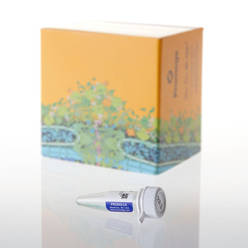 AccuMAP 10 x Low pH Reaction Buffer, 1ml