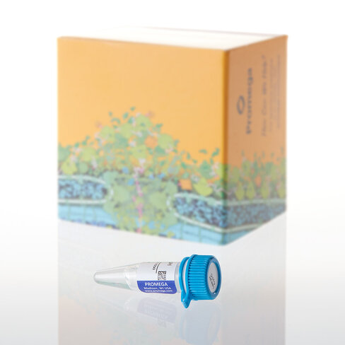 AccuMAP Low pH Resistance rLys-C Solution 300 µl