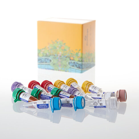 AccuMAP Low pH Protein Digestion Kit Mini 10 tests