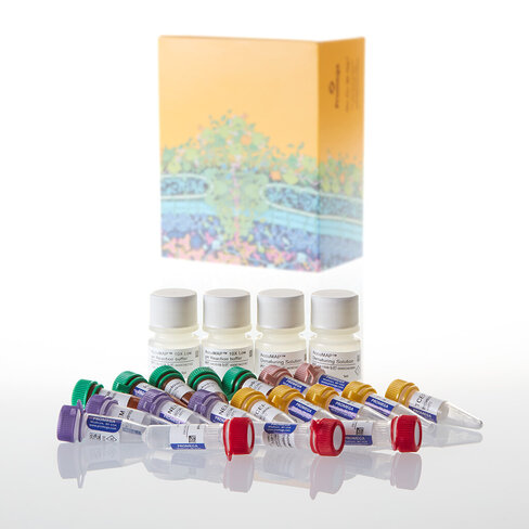 AccuMAP Low pH Protein Digestion Kit Maxi 100 tests