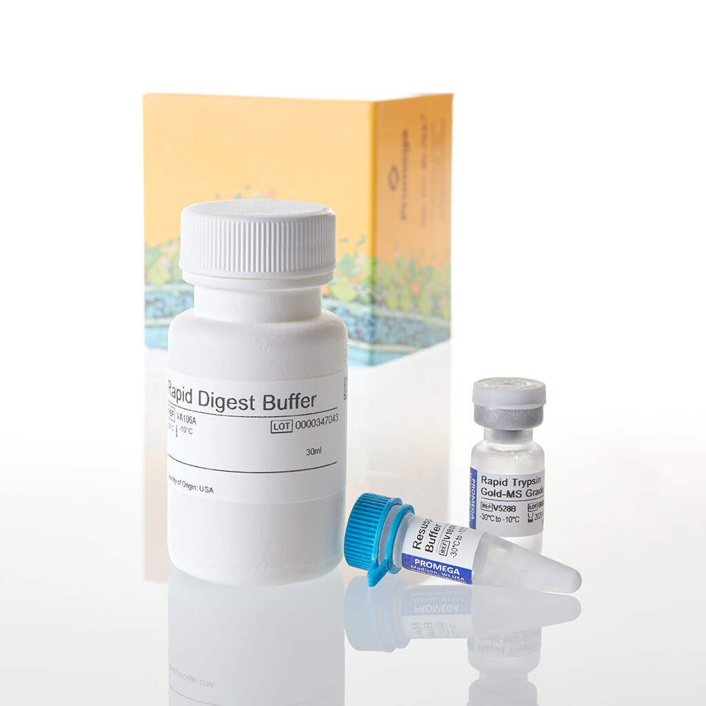 Rapid Digestion Kit - Trypsin 100 µg