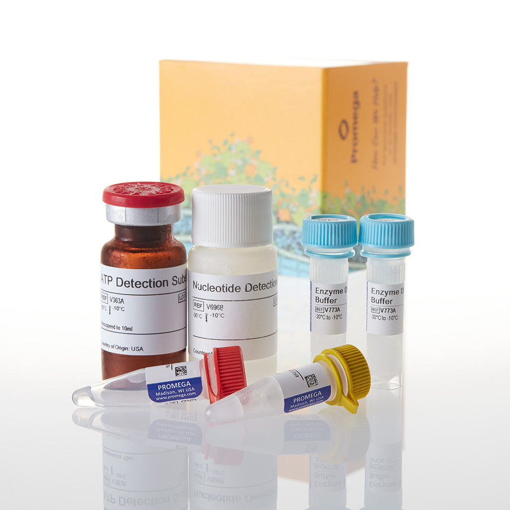 GDP-Glo Glycosyltransferase Assay 400 tests