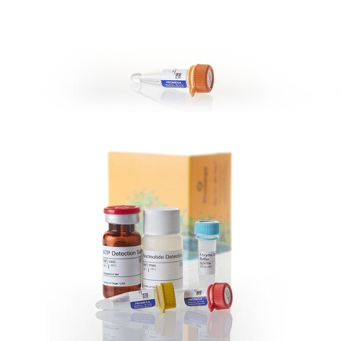 GDP-Glo GT, 400 Assays + GDP-Fucose, 50mM 400 tests