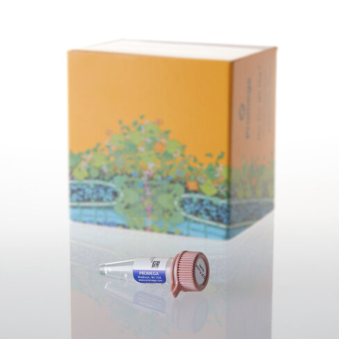 Ultra Pure GDP-Fucose 50mM 50 µl